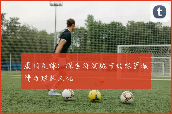 厦门足球:探索海滨城市的绿茵激情与球队文化