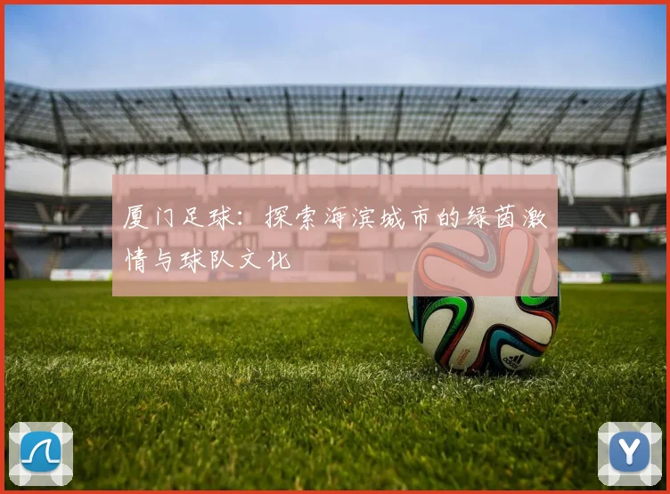 厦门足球:探索海滨城市的绿茵激情与球队文化