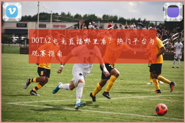DOTA2电竞直播哪里看?热门平台与观赛指南