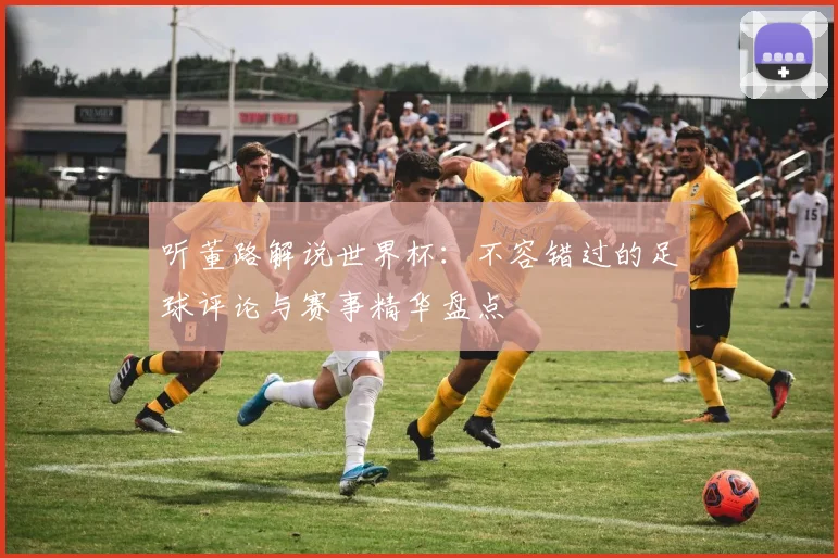 听董路解说世界杯:不容错过的足球评论与赛事精华盘点