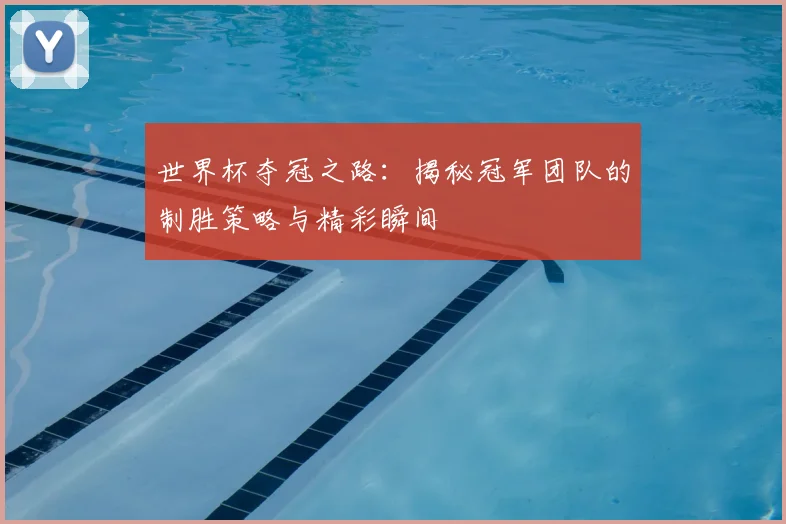 世界杯夺冠之路：揭秘冠军团队的制胜策略与精彩瞬间